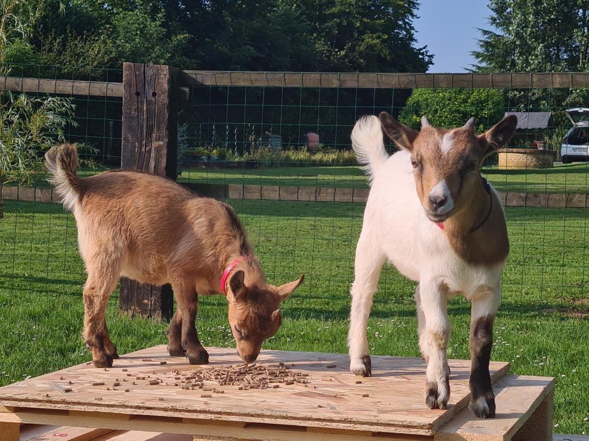 Gite Le Manege Normand Grand-Camp  Экстерьер фото